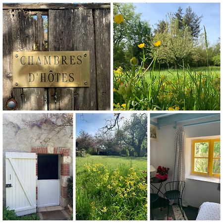 Chambres D'Hotes Les Renardieres Molineuf ภายนอก รูปภาพ