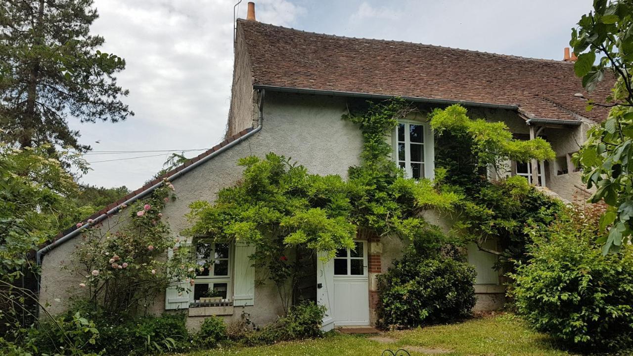 Chambres D'Hotes Les Renardieres Molineuf ภายนอก รูปภาพ