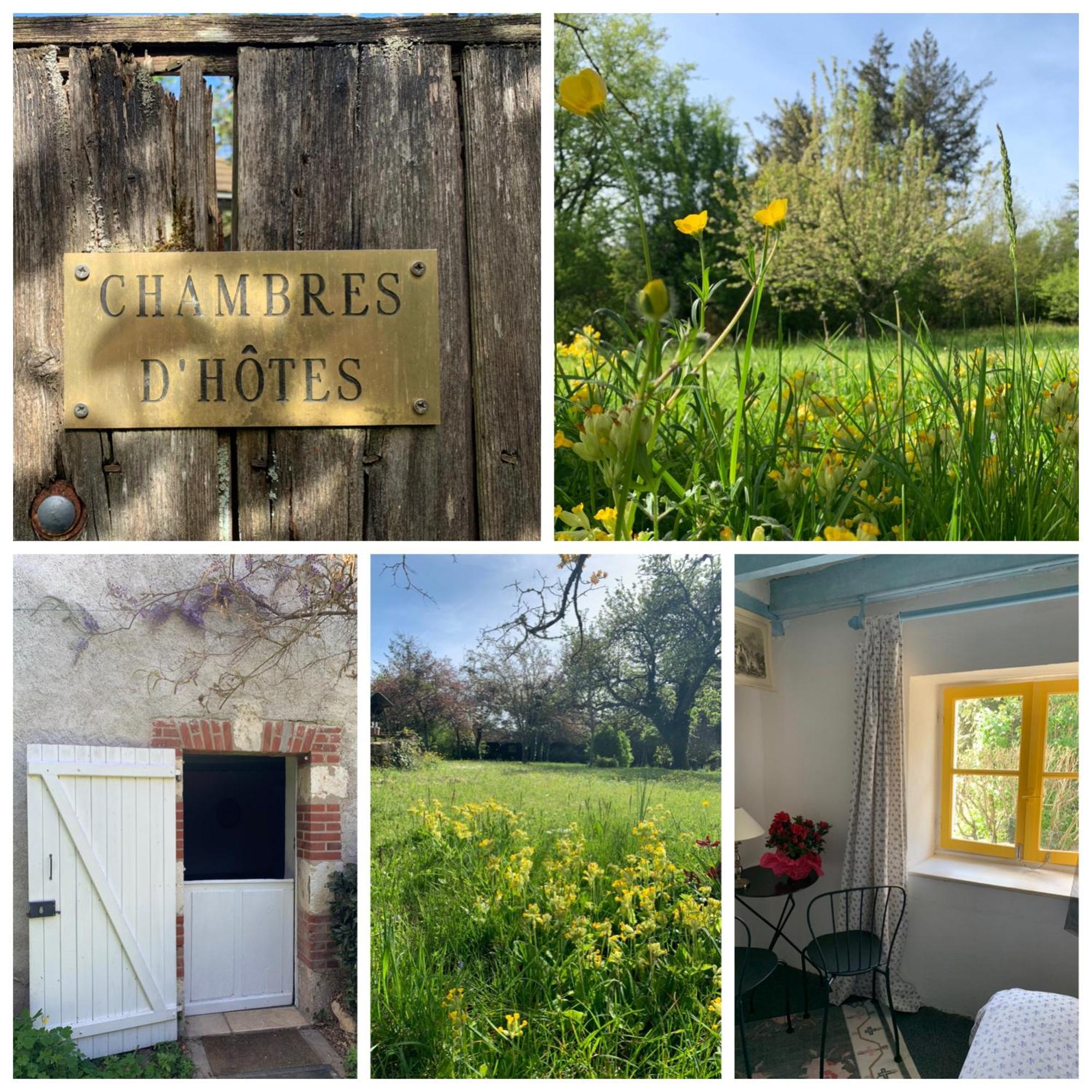 Chambres D'Hotes Les Renardieres Molineuf ภายนอก รูปภาพ
